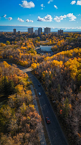 istock Road through autumn forest leading to downtown Edmonton 2241512528