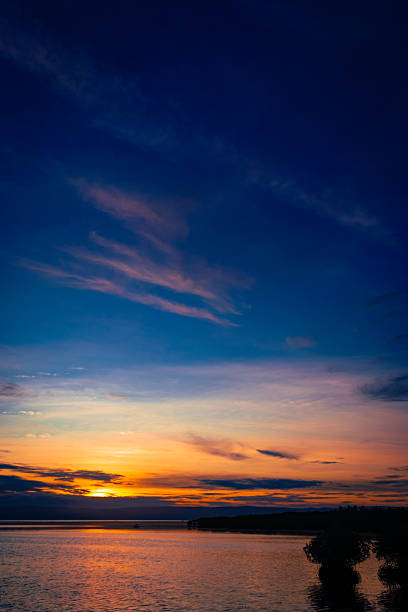 istock August 23, 2025. Bohol, Philippines. Sunset over the mangrove forest. 2241521633