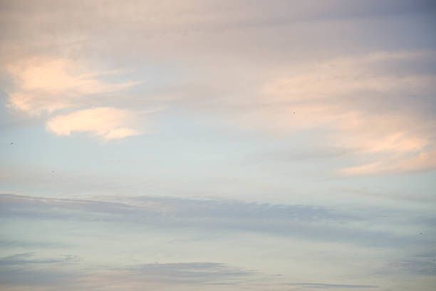 Golden sunset over Brazil's sky with soft clouds and warm light, capturing the peaceful beauty of tropical evenings.