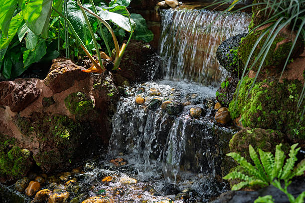 Close-up of a small waterfall surrounded by moss-covered rocks and lush tropical plants in a garden, showing the natural flow of water and tranquil scenery.