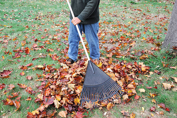 istock man working in the yard to clean fallen leaves by fan rake 2241530351