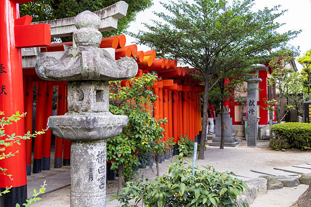 A row of vibrant red Torii gates at Kushida Shrine in Fukuoka, symbolizing spiritual passage and traditional Shinto devotion