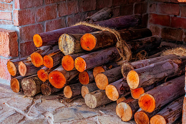 A close-up shot of a pile of freshly cut logs with vibrant orange and brown ends, stacked against a brick wall.