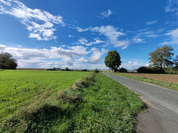 istock Green field under cloudy sky, rural summer landscape 2241545831