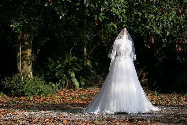 istock White bridal gown displayed outdoors surrounded by greenery and soft sunlight. 2241549828
