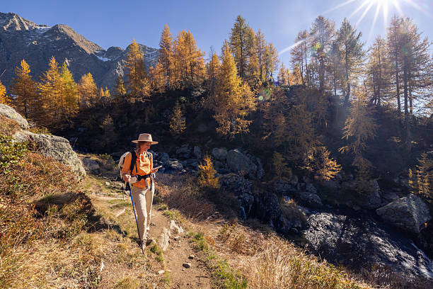 istock Woman on Autumn Hike Using Smartphone 2241551525