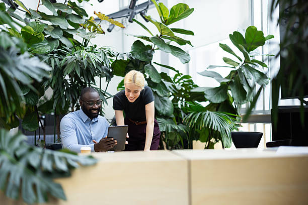 istock Diverse business colleagues collaborating with digital tablet in green office 2241552940