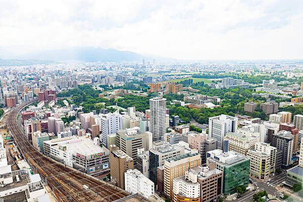 View of Sapporo city center from a high vantage point