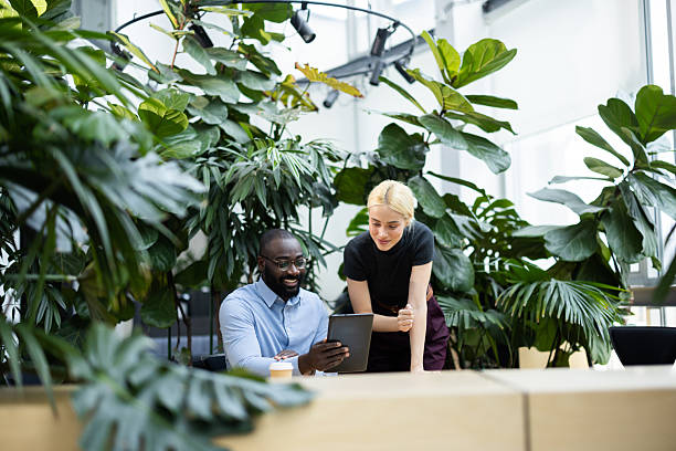 istock Diverse colleagues collaborating with tablet in green modern office 2241556414