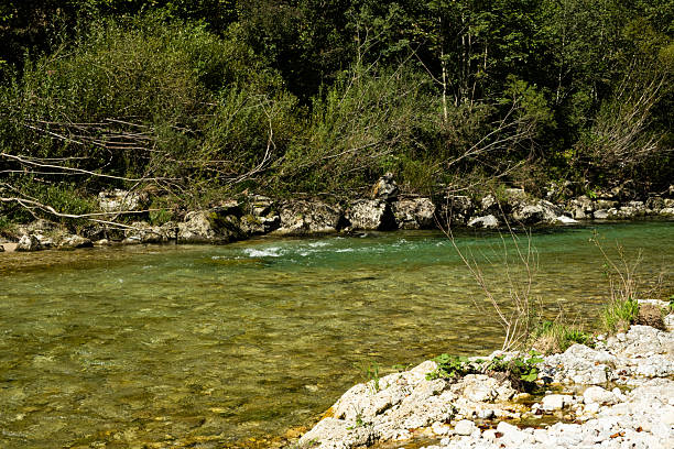istock Beautiful Natural Background with Forest River in Summer 2241558603