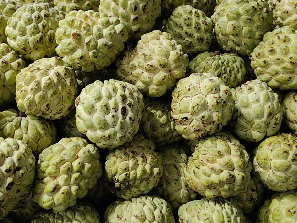 The photo displays a pile of custard apples. The fruts are also called sweetsops, and sugar apples. The botanical name for the custard apple is Annona squamosa. They are tropical fruits. They are known for their sweet, creamy, and aromatic white flesh with a custard-like texture. In India, they are commonly known as \