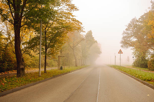 A foggy road lined with autumn trees stretches into the distance, creating a dreamy seasonal landscape. The soft light, warm tones, and misty atmosphere capture the peaceful mood of a fall morning.