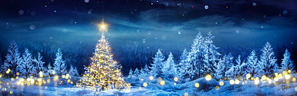 istock Christmas Tree On Snow - Winter Fir Forest At Night Forest 2241567523