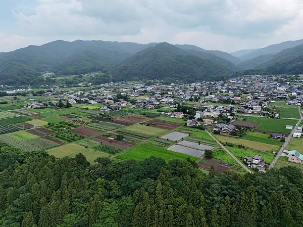 istock A rural area with a lot of green fields and trees 2241569601