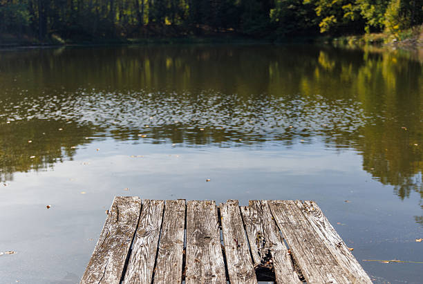 A rustic wooden dock extends over still waters, surrounded by autumn foliage, capturing the peaceful essence of nature.