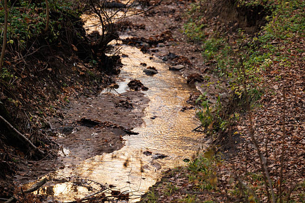 istock Quiet stream flowing through autumn leaves in a serene forest landscape at sunset 2241572726