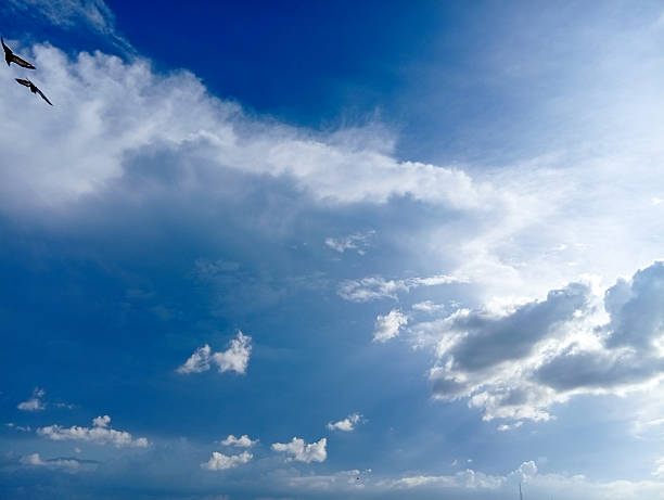 istock Clear blue sky with scattered clouds and birds flying creates serene atmosphere 2241574413