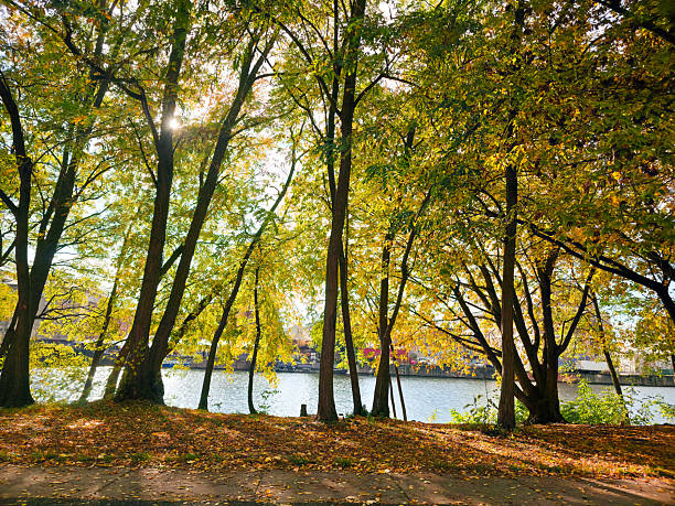 Warm backlight falls through autumnal trees along the river, leaves cover the riverside path, the water shimmers calmly, small park behind the East Side Gallery with a view of the Spree, Berlin Wall, 10243 Berlin, Germany