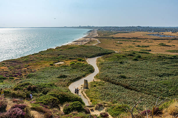 istock Warren Hill, Hengistbury Head - UK 2241575705