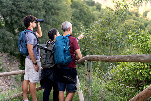 istock Family hiking and birdwatching in forest viewpoint looking through binoculars 2241577461