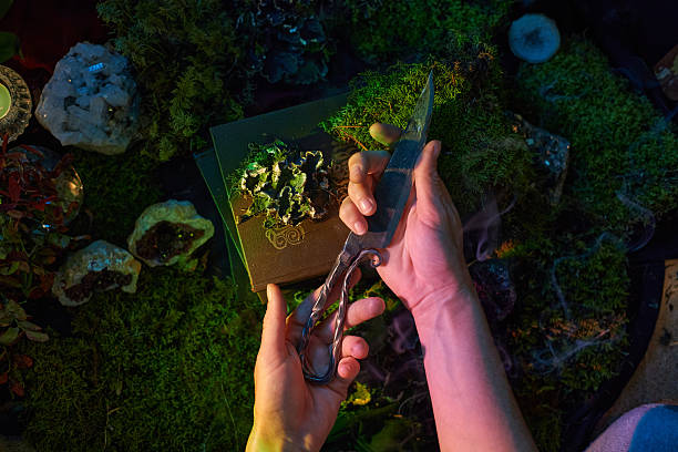 istock Hands are poised with elegant scissors above a dark box, surrounded by vibrant greenery and decorative stones. Soft lighting highlights the scene, creating a mystical atmosphere 2241577881