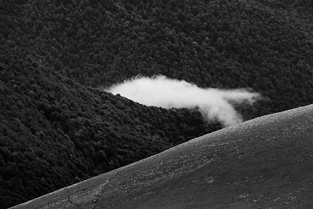A single white cloud drifts silently between dark forested ridges on a misty mountain morning. The contrast between the soft cloud and the rough texture of the mountain creates a minimalist and meditative landscape. Captured in black and white to emphasize form, tone, and the fleeting poetry of nature’s calm moments.