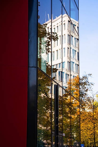 istock Modern Glass Building With Autumn Tree Reflection: Contemporary Architecture And Vibrant Yellow Foliage Creating A Striking Urban Contrast 2241588003