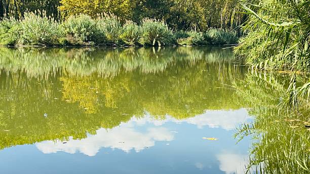 istock Natural Water Reflections on River Ter, Close-Up View in Girona Forest 2241588872
