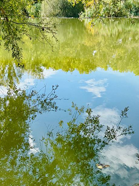 istock Natural Water Reflections on River Ter, Close-Up View in Girona Forest 2241588876
