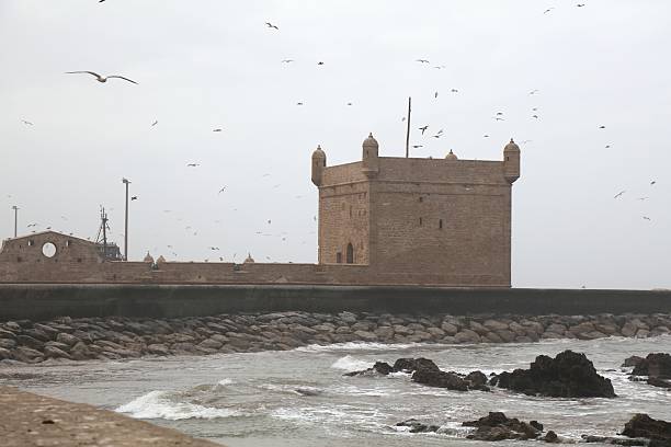 istock Scala Harbor citadel of Essaouira, Morocco 2241589034