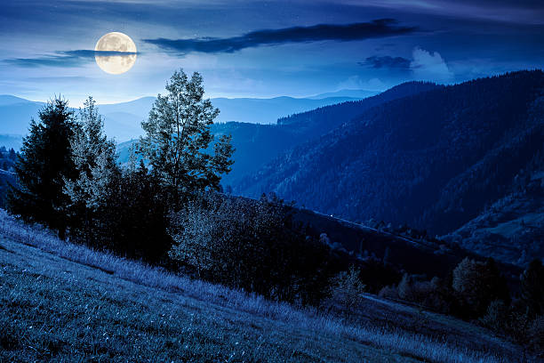 istock autumn mountain landscape at night 2241589164
