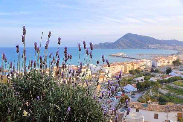 istock Altea town lavender view in Spain 2241593038