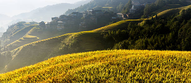 A breathtaking sunset over mountain terraces and a peaceful village. Golden rays pierce through the clouds, illuminating the layered fields and misty hills, creating a poetic harmony between nature and humanity. Perfect for travel promotions, nature landscapes, rural themes, or serene atmospheric visuals.
