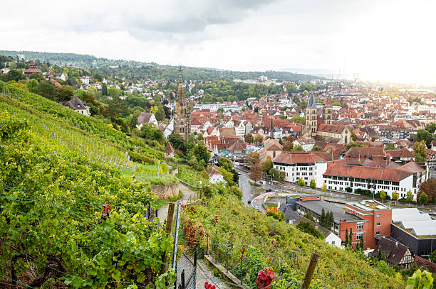 View of the town of Esslingen am Neckar with its historic town centre and vineyards.