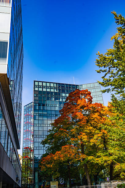 istock Modern Office Building With Autumn Garden Pathway: Contemporary Glass Architecture Surrounded By Colorful Trees And Soft Evening Lights In Urban Setting 2241599119