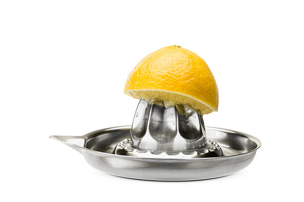 istock Steel citrus juicer 2241600372