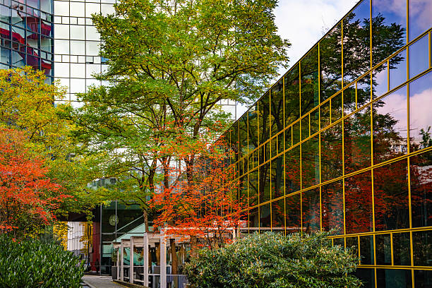 Modern Tokyo. Nature and architecture.