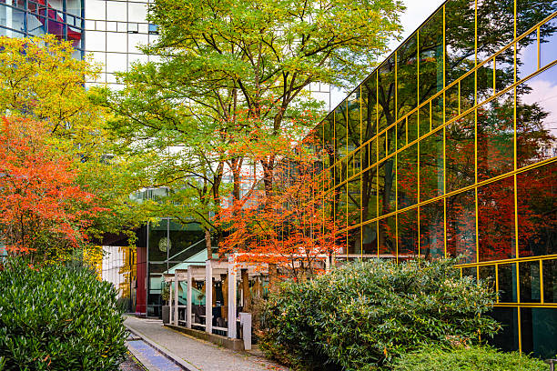 Modern Glass Building With Autumn Tree Reflection: Contemporary Architecture And Vibrant Yellow Foliage Creating A Striking Urban Contrast. High quality photo