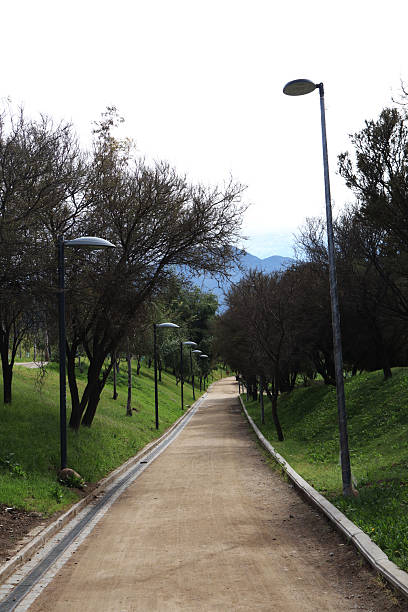 istock Peaceful Park Pathway Surrounded by Trees and Green Grass on a Sunny Day 2241609976