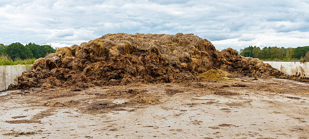 istock Manure heap on a concrete area near a farm 2241611430
