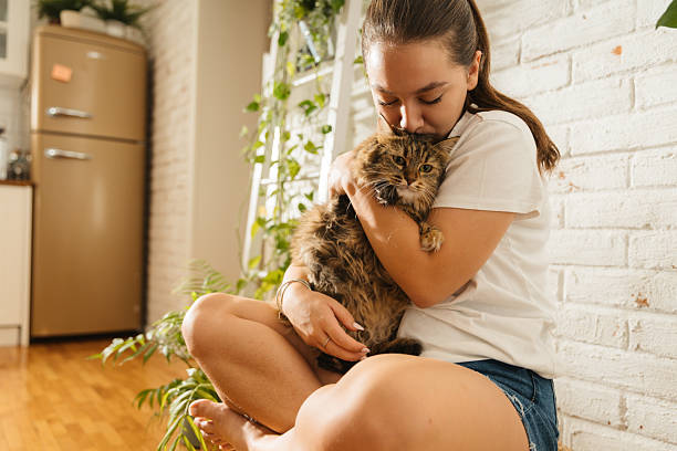 istock Affectionate young woman hugging her fluffy cat at home 2241613916