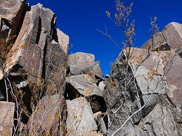 Petroglyph, 3 Rivers site New Mexico.