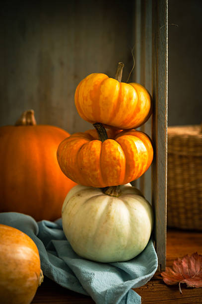 Orange pumpkins, rustic dark moody background, autumn concept