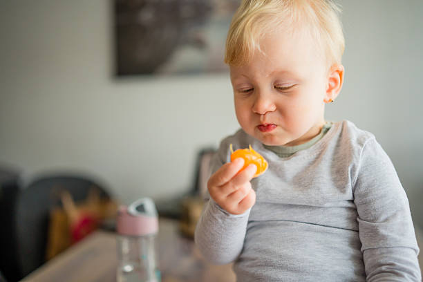 istock Toddler Examining a Tangerine Slice Before Eating 2241614694