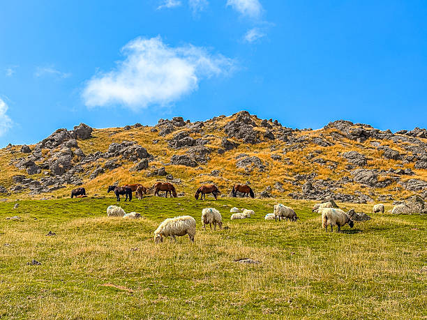 istock Exploring the Rugged Peaks and Valleys of the Pyrenees. 2241619473