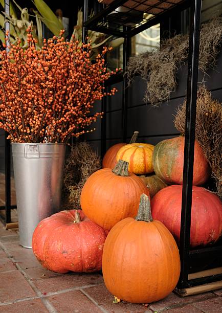 istock Red and orange colored big pumpkins 2241621522
