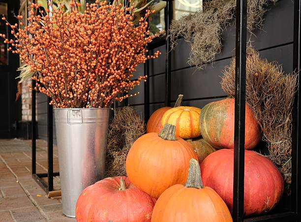 istock Red and orange colored big pumpkins 2241621529