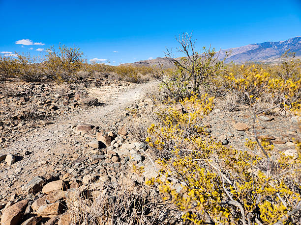 Anza-Borrego Desert State Park