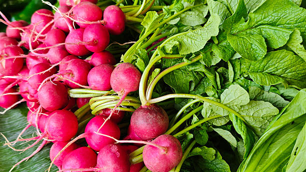 istock Fresh radish at the market 2241624188