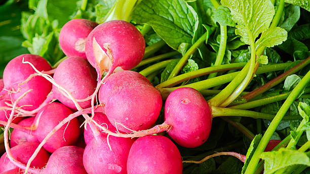 istock Fresh radish at the market 2241624189